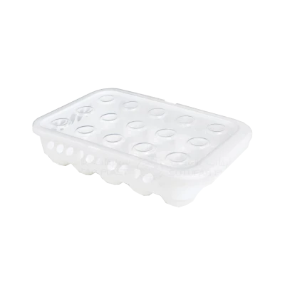 BOÎTE À OEUFS EN PLASTIQUE 15 CASES SOTUFAB PLAST SOTUFAB PLAST - 2