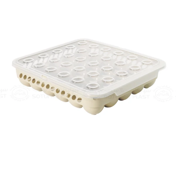 BOÎTE À OEUFS EN PLASTIQUE 30 CASES SOTUFAB PLAST