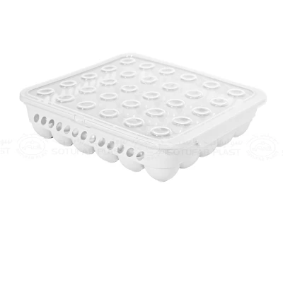 BOÎTE À OEUFS EN PLASTIQUE 30 CASES SOTUFAB PLAST SOTUFAB PLAST - 2