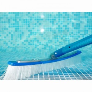 Brosse de paroi courbée 41 cm pour piscine Intex - Provence Outillage