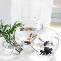 VASE ROND EN VERRE TRANSPARENT Ø15CM COK  - 2