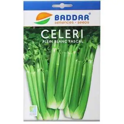 SEMENCES CELERI PLEIN BLANC PASCAL BADDAR BADDAR - 1