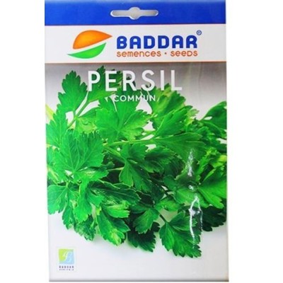SEMENCES PERSIL COMMUN BADDAR BADDAR - 1