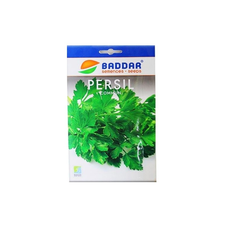 SEMENCES PERSIL COMMUN BADDAR BADDAR - 1