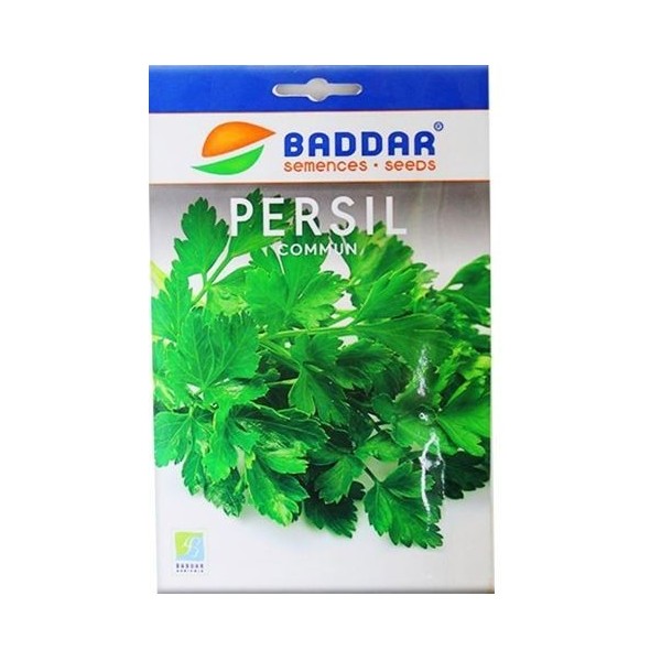 SEMENCES PERSIL COMMUN BADDAR