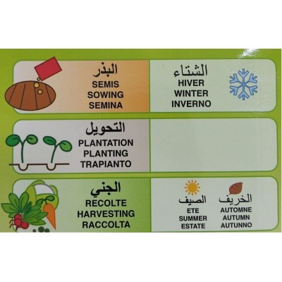 SEMENCES RADIS NATIONAL FLORA  - 2 SEMENCES RADIS NATIONAL FLORA  - 2