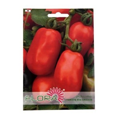 SEMENCES TOMATE RIO GRANDE FLORA  - 1