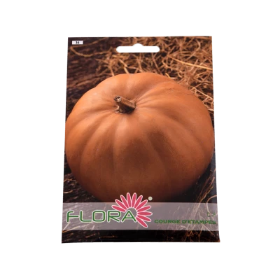 SEMENCES COURGE D'ETAMPES FLORA - 1