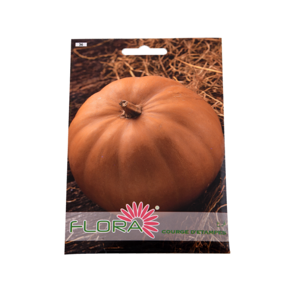 SEMENCES COURGE D'ETAMPES FLORA