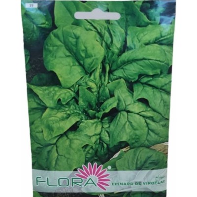 SEMENCES EPINARD DE VIROFLAY FLORA  - 1