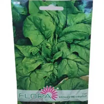 SEMENCES EPINARD DE VIROFLAY FLORA - 1