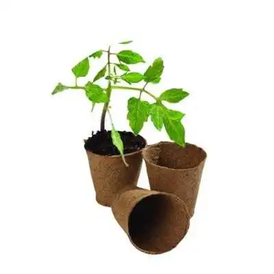 LOT DE 24 POTS RONDS EN CARTON 6CM ECLOR ECLOR - 2