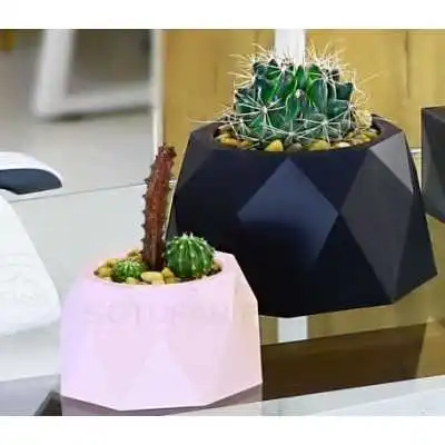 POT DIAMANT 17CM SOTUFAB PLAST SOTUFAB PLAST - 3