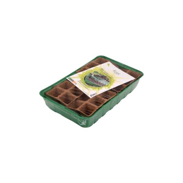 MINI SERRE 36*22*13CM + 24 POTS BIODÉGRADABLES 5CM ECLOR