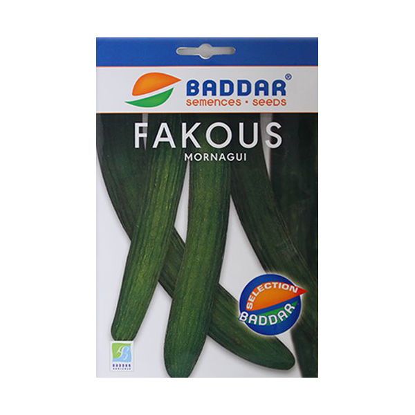 SEMENCES CONCOMBRE BADDAR