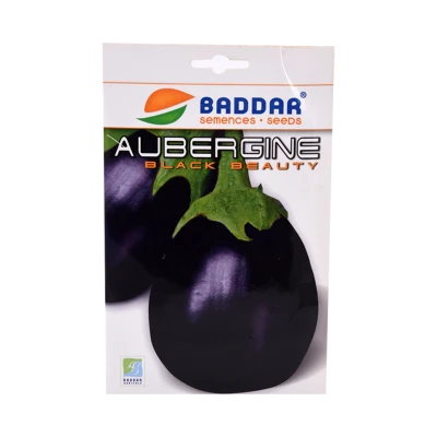 SEMENCES AUBERGINE BLACK BEAUTY BADDAR BADDAR - 1