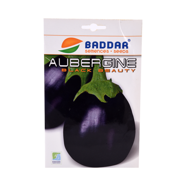 SEMENCES AUBERGINE BLACK BEAUTY BADDAR