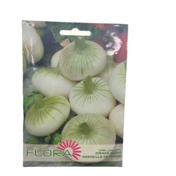 SEMENCES OIGNON BLANC MERVEILLE DE POMPEI FLORA