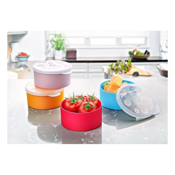 LOT DE 4 BOÎTES DE CONSERVATION 200 ML AVEC COUVERCLE EN PLASTIQUE EMHOUSE