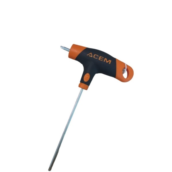 TOURNEVIS EN "T" TORX T15 ACEM