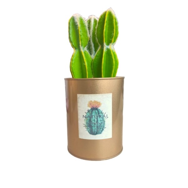 PLANTE ARTIFICIELLE 20*10CM, POT DÉCORATIF