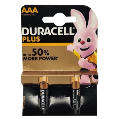 LOT DE 2 PILES 1.5V AAA LR03 DURACELL PLUS - 1