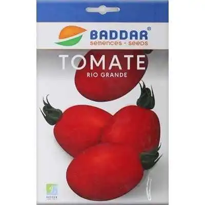 SEMENCES DE TOMATE RIO GRANDE BADDAR BADDAR - 1