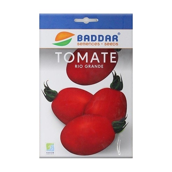SEMENCES DE TOMATE RIO GRANDE BADDAR