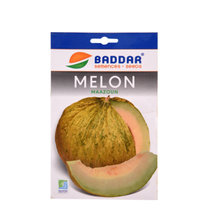 SEMENCES DE MELON MAAZOUN BADDAR BADDAR - 1