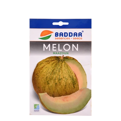 SEMENCES DE MELON MAAZOUN BADDAR BADDAR - 1 SEMENCES DE MELON MAAZOUN BADDAR BADDAR - 1