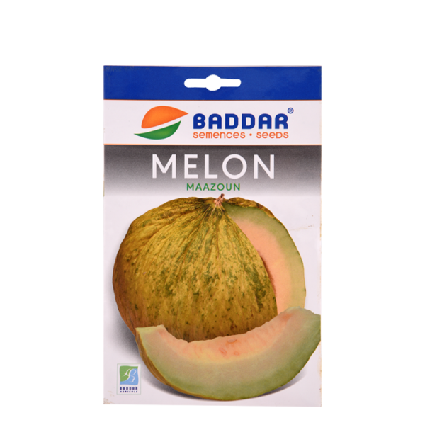 SEMENCES DE MELON MAAZOUN BADDAR