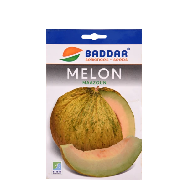SEMENCES DE MELON MAAZOUN BADDAR