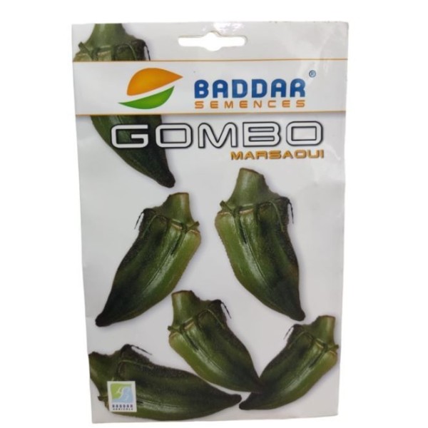 SEMENCES DE GOMBO MARSAOUI BADDAR