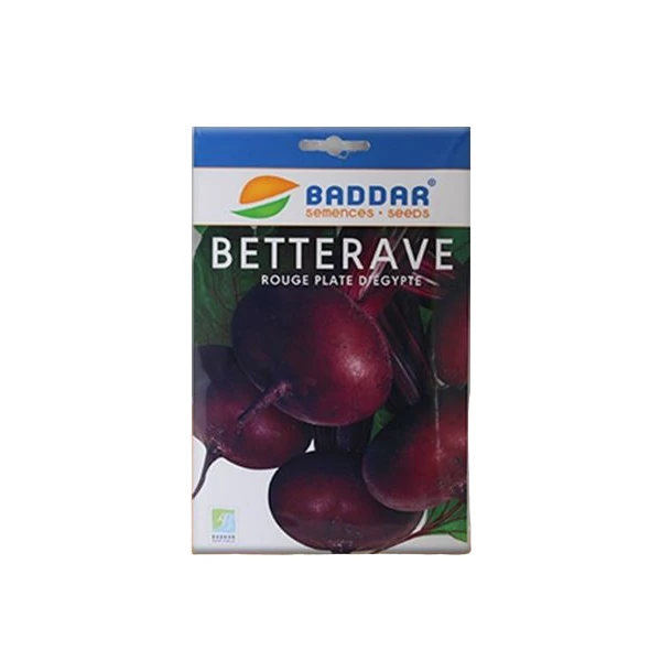 SEMENCES DE BETTERAVE ROUGE PLATE D’ÉGYPTE BADDAR