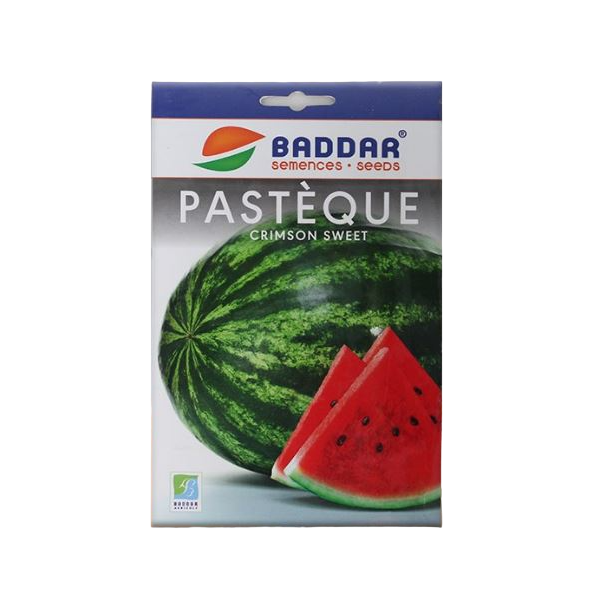 SEMENCES DE PASTHEQUE CRIMSON SWEET BADDAR