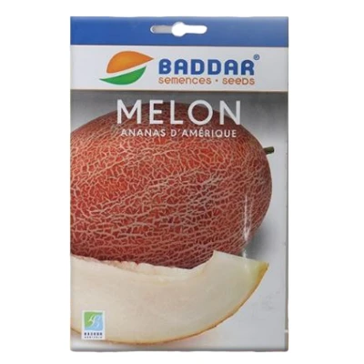 SEMENCES DE MELON ANANAS D’AMÉRIQUE BADDAR BADDAR - 1