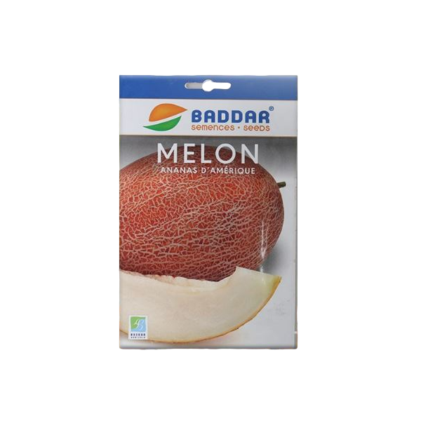 SEMENCES DE MELON ANANAS D’AMÉRIQUE BADDAR