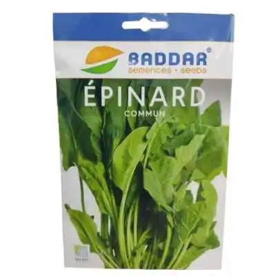 SEMENCES DE ÉPINARD COMMUN BADDAR BADDAR - 1 SEMENCES DE ÉPINARD COMMUN BADDAR BADDAR - 1