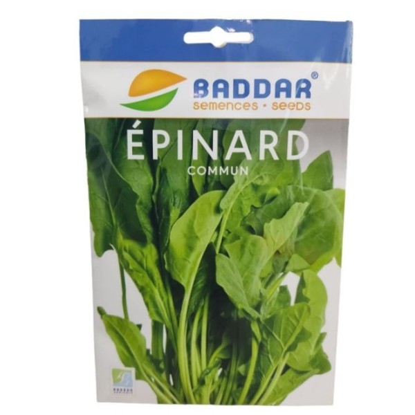 SEMENCES DE ÉPINARD COMMUN BADDAR