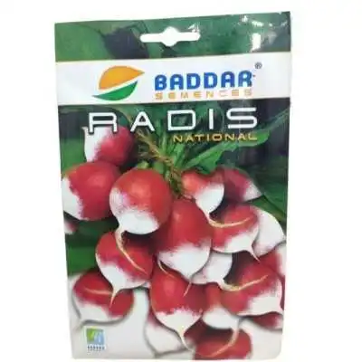 SEMENCES DE RADIS NATIONAL BADDAR BADDAR - 1