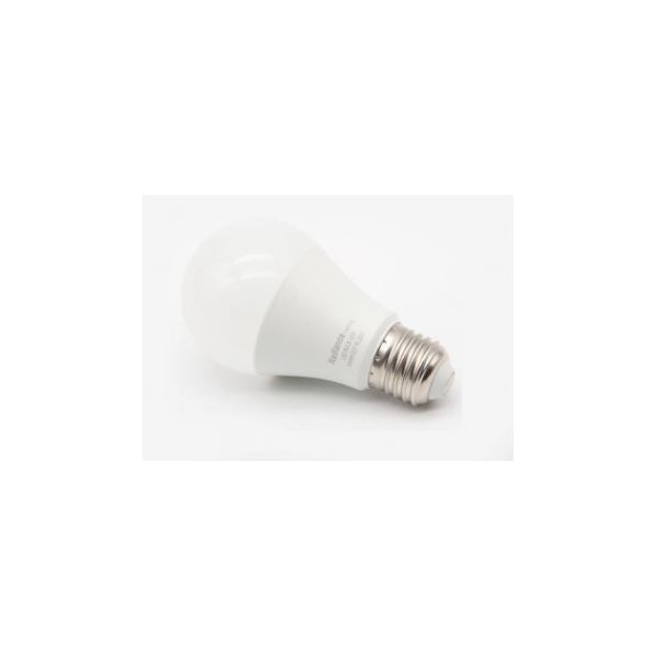 LAMPE LED E27 14W 220V 6500K RADIANCE LIGHTING