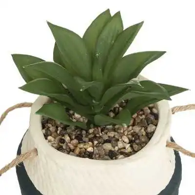 PLANTE ARTIFICIELLE "HACI" ,POT EN CIMENT ATMOSPHERA ATMOSPHERA - 4