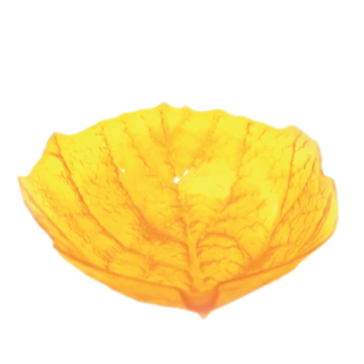 ASSIETTE EN PLASTIQUE FORME FEUILLE 24*19CM SOFPINCE SOFPINCE - 1