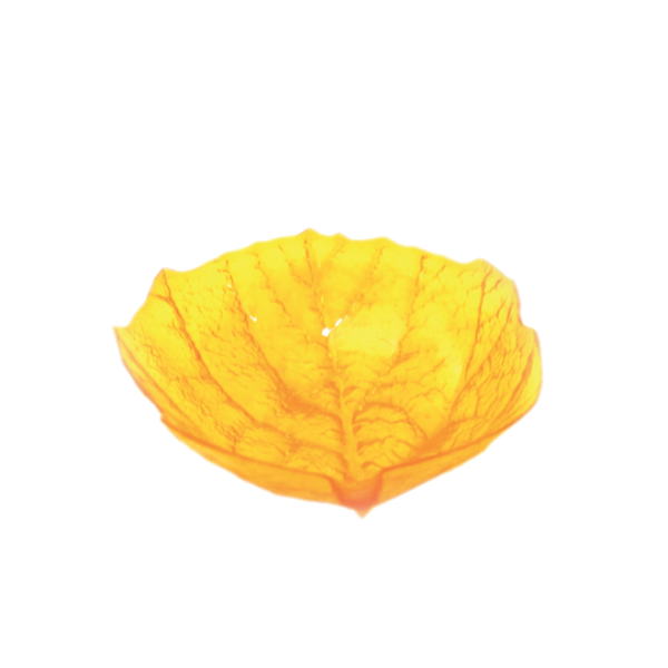 ASSIETTE EN PLASTIQUE FORME FEUILLE 24*19CM SOFPINCE