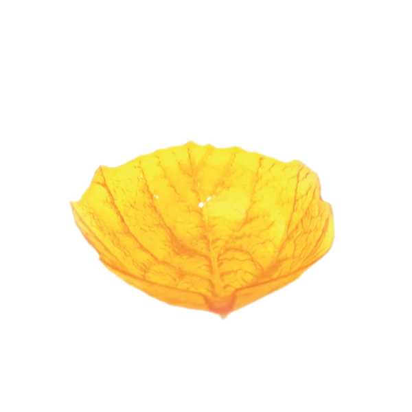 ASSIETTE EN PLASTIQUE FORME FEUILLE 24*19CM SOFPINCE