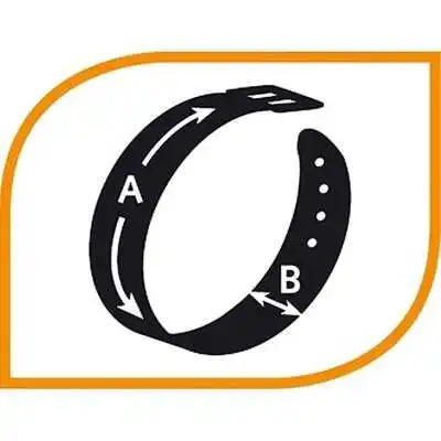 COLLIER CLUB POUR CHIEN C15/44 MOTIF CIRCUS FERPLAST FERPLAST - 2