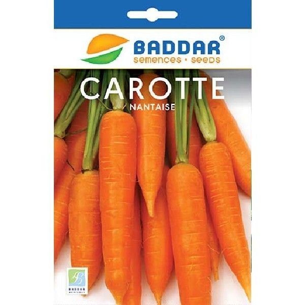 SEMENCES DE CAROTTE NANTAISE BADDAR