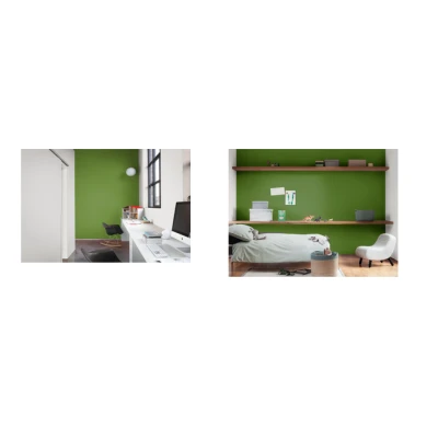 PEINTDECO IRLANDE INTENSE 4KG ASTRAL ASTRAL - 3