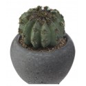 MINI PLANTE ARTIFICIELLE CACTUS HAUTEUR 11.5 CM , POT EN CIMENT ATMOSPHERA ATMOSPHERA - 2