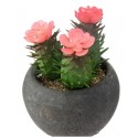 MINI PLANTE ARTIFICIELLE CACTUS HAUTEUR 11.5 CM , POT EN CIMENT ATMOSPHERA ATMOSPHERA - 3